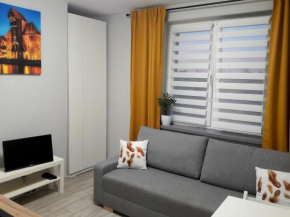 Apartament Śródmieście